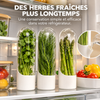 Conservateur d’Herbes Aromatiques