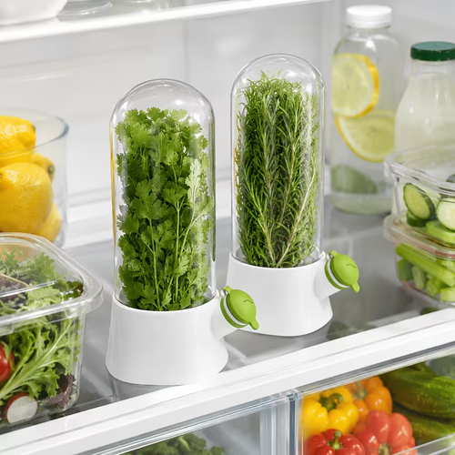 Conservateur d’Herbes Aromatiques