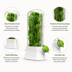 Conservateur d’Herbes Aromatiques