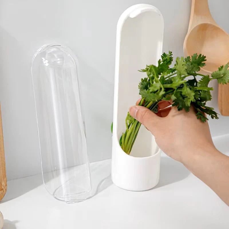 Conservateur d’Herbes Aromatiques