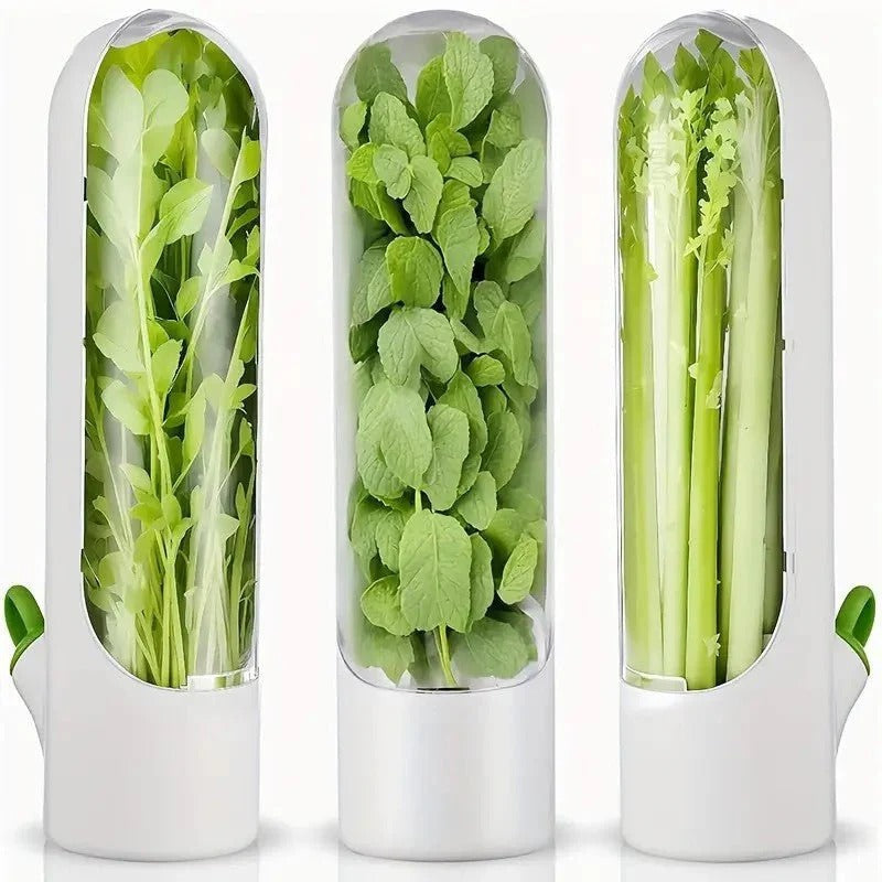 Conservateur d’Herbes Aromatiques